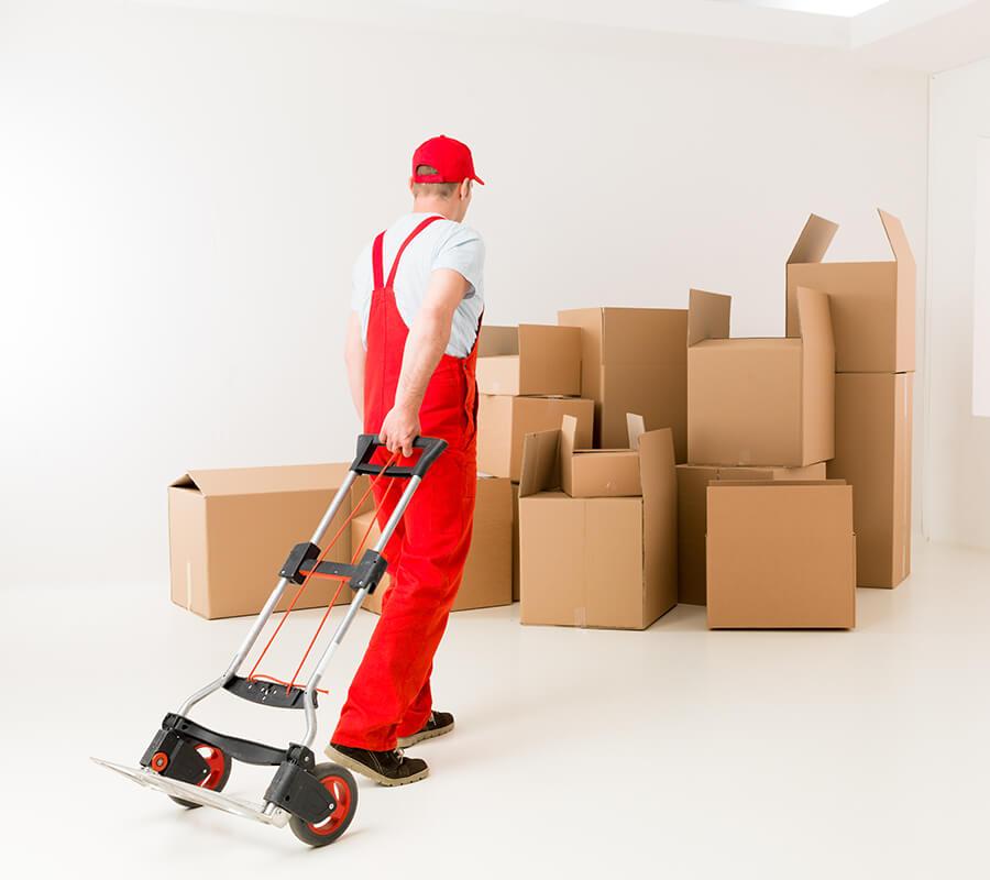 Removalists Albert Park