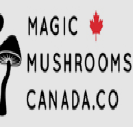 Magic Mushrooms  Canada