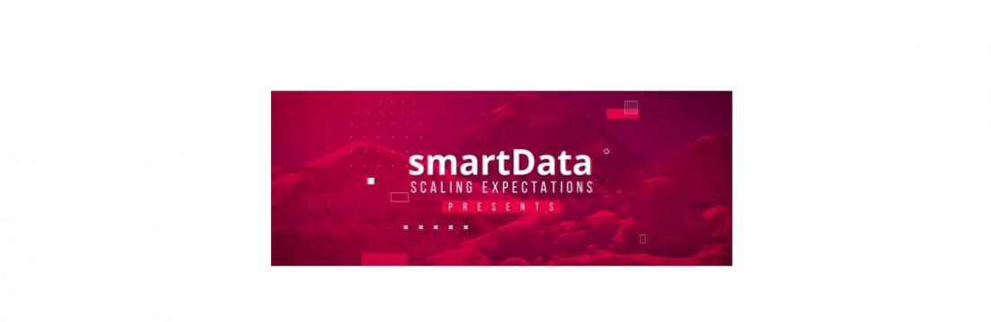 SmartData Enterprises Inc