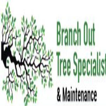 BranchOut TreeSpecialist