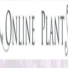 Online Online_Plants