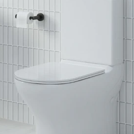 Rimless Flushing Toilets