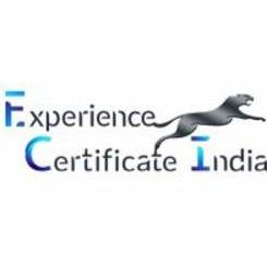 Experience Certificate India