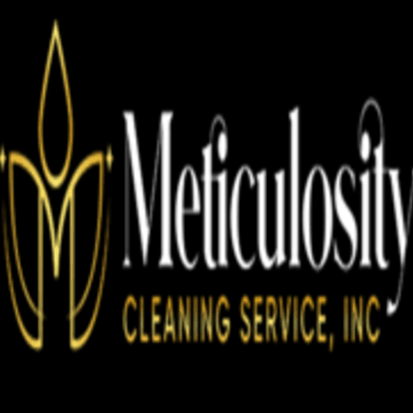 Meticulosity Cleaning