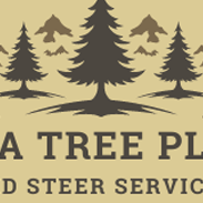 Alberta Tree Planting