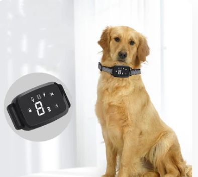 Pet Trainin  Collar