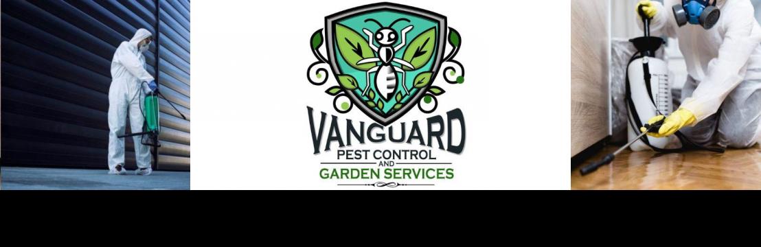 Vanguard  Eco Solutions